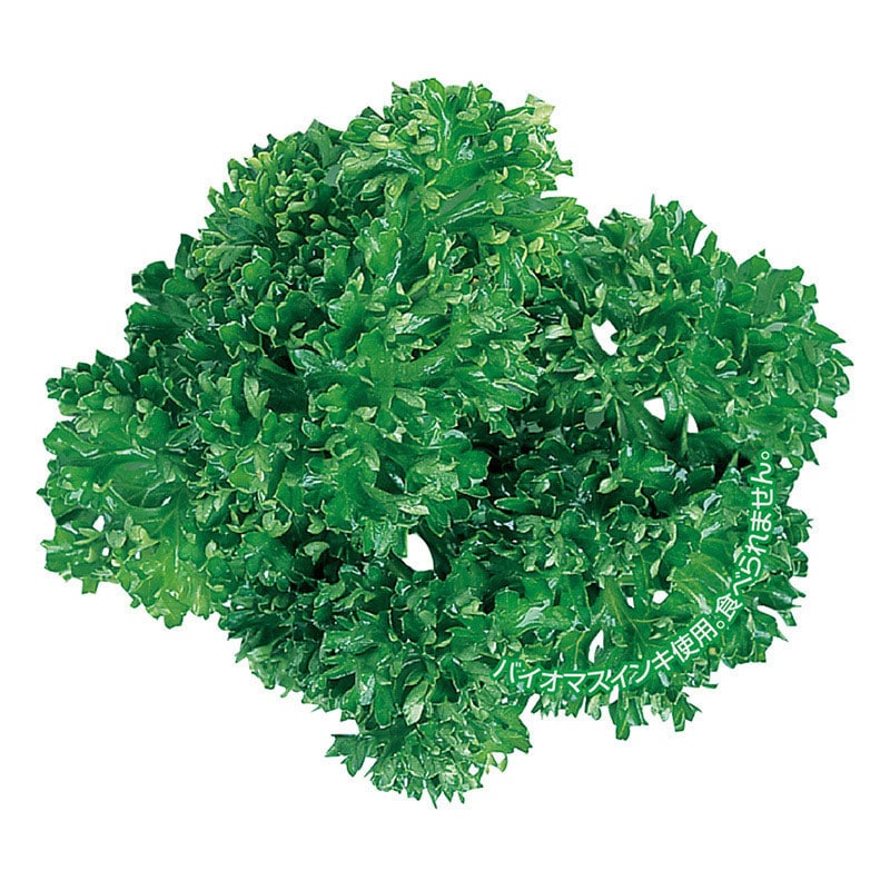 ユニバース グルメシート　パセリ 丸　60φ  1000枚/袋（ご注文単位1袋）【直送品】