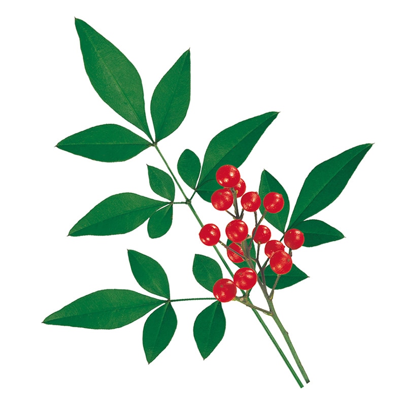 ユニバース グルメシート　南天 丸　80φ  1000枚/袋（ご注文単位1袋）【直送品】