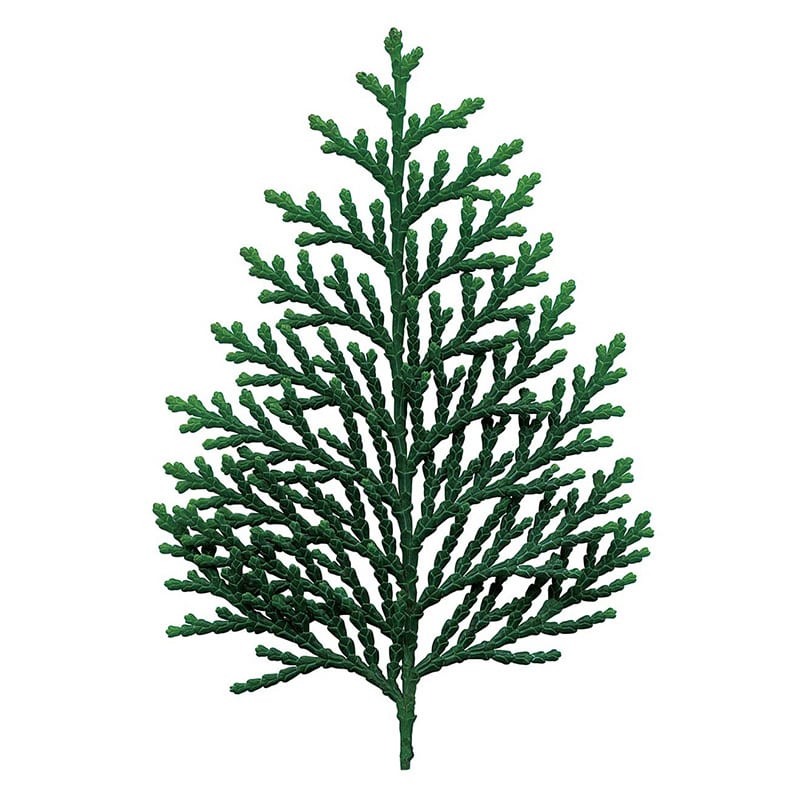 ユニバース グルメシート　桧葉 丸　90φ  1000枚/袋（ご注文単位1袋）【直送品】