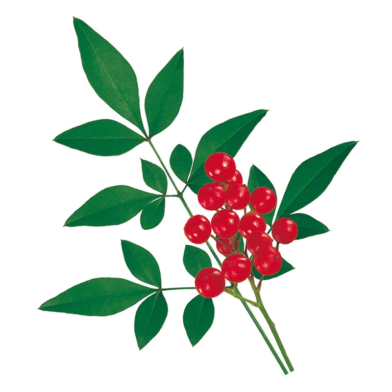 ユニバース グルメシート　南天 S　丸小　65φ  1000枚/袋（ご注文単位1袋）【直送品】