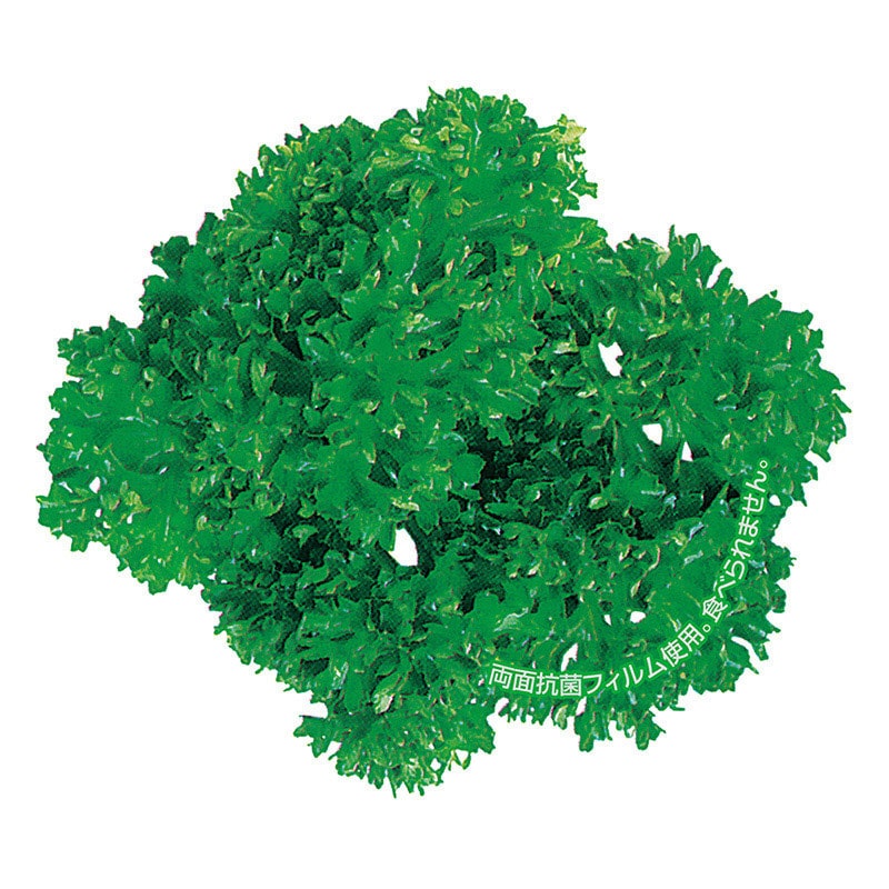 ユニバース 抗菌グルメシート　パセリ 丸　60φ  1000枚/袋（ご注文単位1袋）【直送品】
