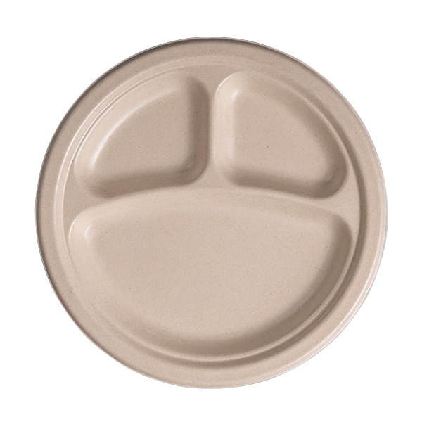 バガス プレート