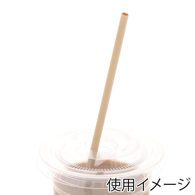 ケーピープラテック 竹ストロー 平口 6mm 単袋 400本/箱