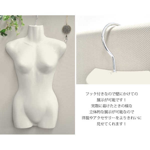 プラタ 婦人用 前面ハーフトルソー ywx144 1個(ご注文単位1個)【直送品】