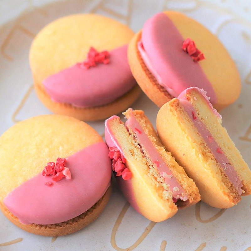 <冷蔵>ルビーチョコ 100g 27880 1袋※軽(ご注文単位1袋)【直送品】