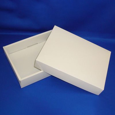 cotta ピュアホワイト 小 小 8178 1枚(ご注文単位10枚)【直送品】