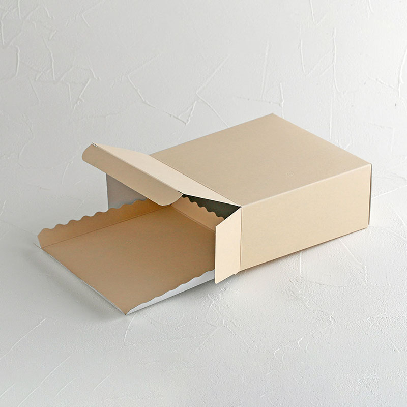 cotta 無地エコスクエア トレー付 5号 94924 10枚/束(ご注文単位1束)【直送品】