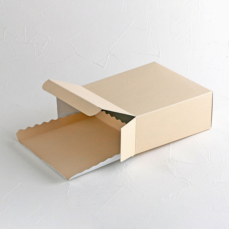 cotta 無地エコスクエア　トレー付 6号 94925 10枚/束（ご注文単位1束）【直送品】