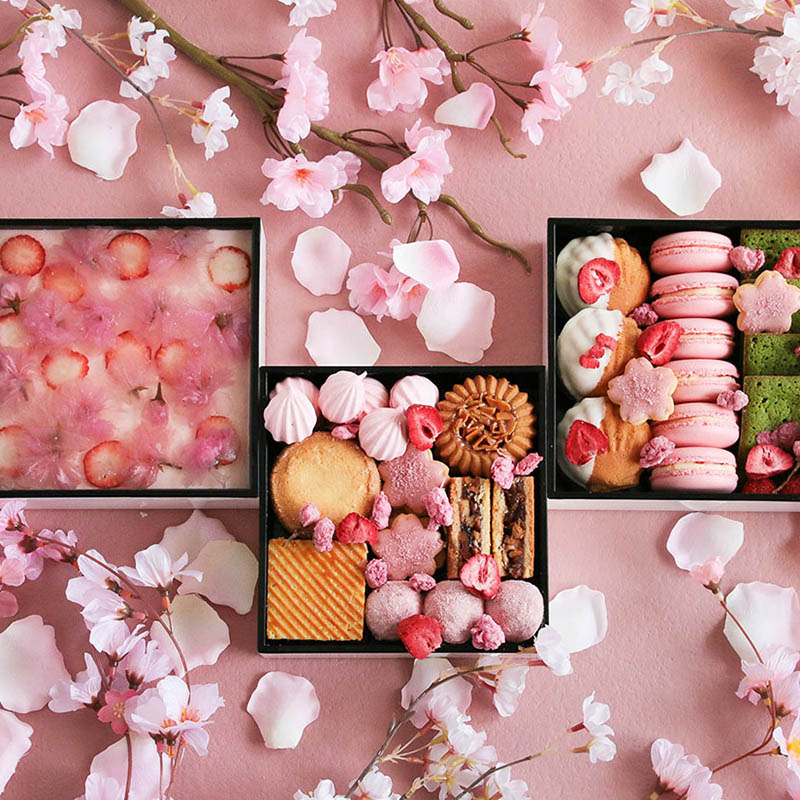 cotta お重 3段 92699 1個(ご注文単位1個)【直送品】