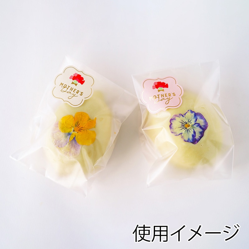 シール　母の日　フレーム　2柄×5片  98009 10冊/束（ご注文単位1束）【直送品】