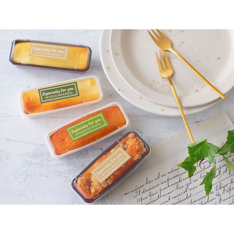 cotta TXトレースクエア　スリム 100×30 69763 100個/セット（ご注文単位1セット）【直送品】