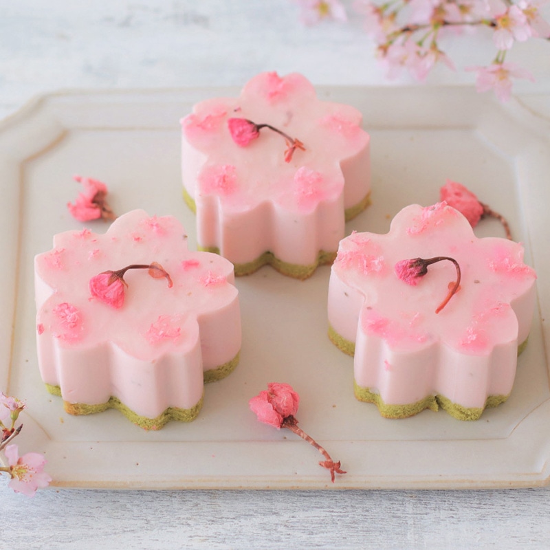 cotta セルクル 桜 91851 1個(ご注文単位1個)【直送品】