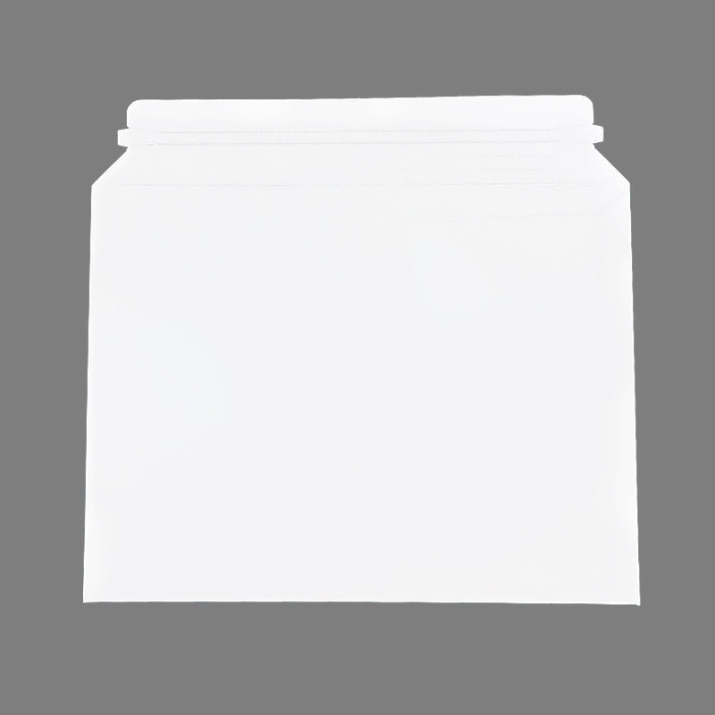 フロンティア レターケース　デルパック封筒 B4用　 DP2803 　25枚入/パック（ご注文単位4パック）【直送品】