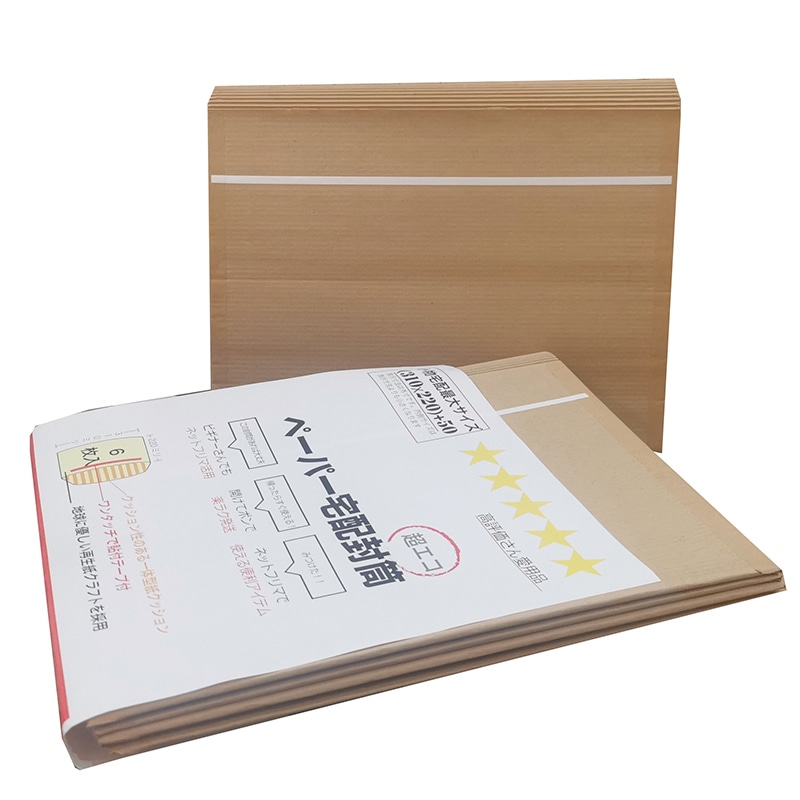 紺屋商事 ペーパー宅配封筒 片段 小物宅配最大サイズ 6枚入 00971006 1パック（ご注文単位1パック）【直送品】