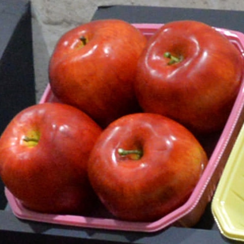 青果容器 BPフルーツ 4M ピンク 100枚/袋(ご注文単位6袋)【直送品】