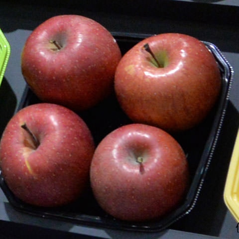 青果容器 BPフルーツ 4M ブラック 100枚/袋(ご注文単位6袋)【直送品】