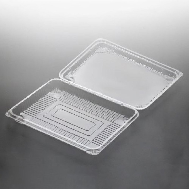 エースパック テイクアウト容器 FDP-113  30枚/袋（ご注文単位10袋）【直送品】