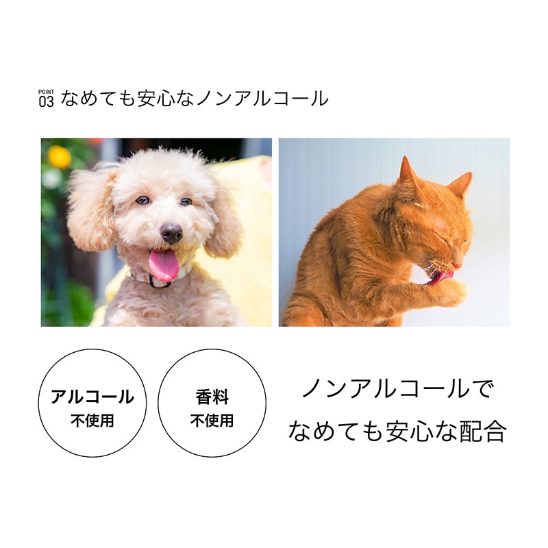 安田産業 ペット用ウェットシート 厚型 80枚入 1個(ご注文単位12個)【直送品】