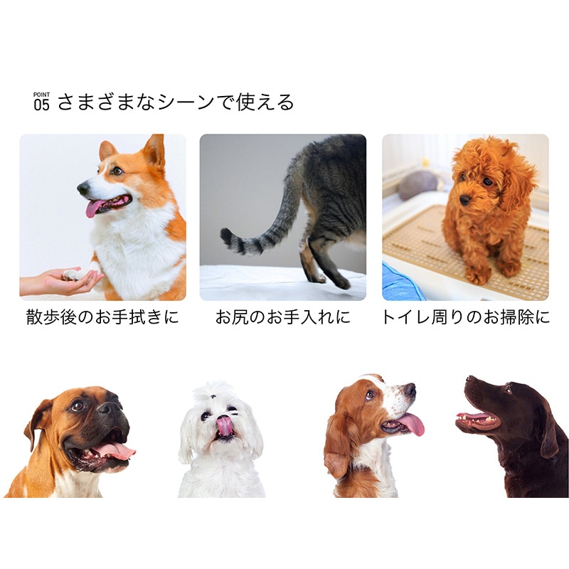 安田産業 ペット用ウェットシート 厚型 80枚入 1個(ご注文単位12個)【直送品】