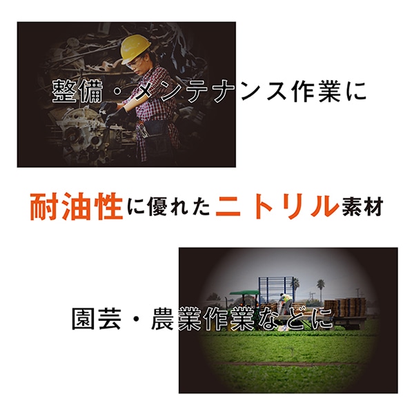 ジェイワークスプランニング プレミアム ディスポ ニトリルグローブ L 50枚入 JCM-066-50P 1箱（ご注文単位10箱）【直送品】