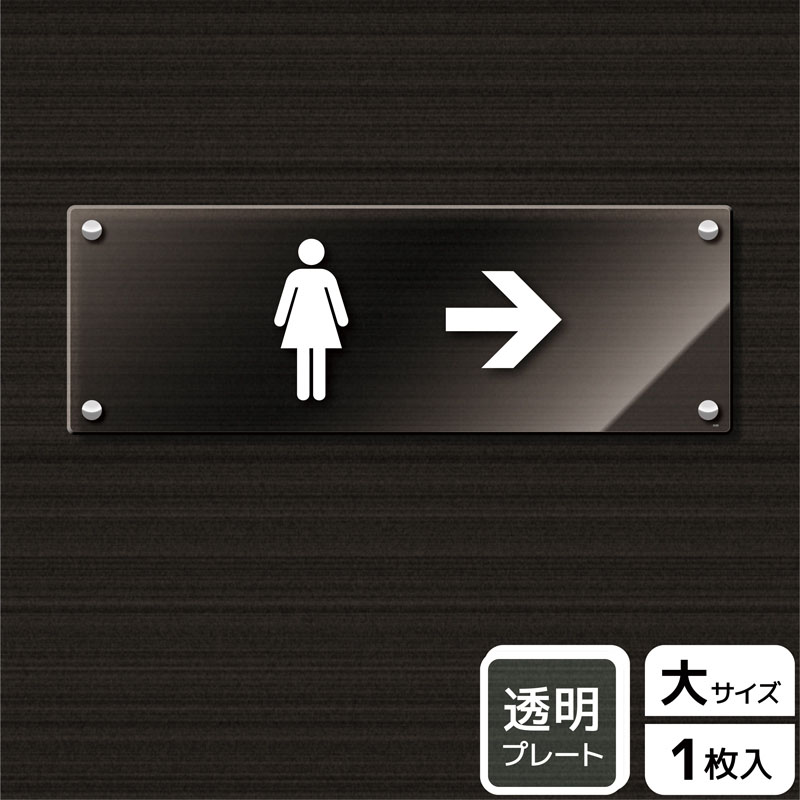 KALBAS 透明アクリルプレート ヨコ大 女子トイレマーク 右 KAK2230 1パック（ご注文単位1パック）【直送品】