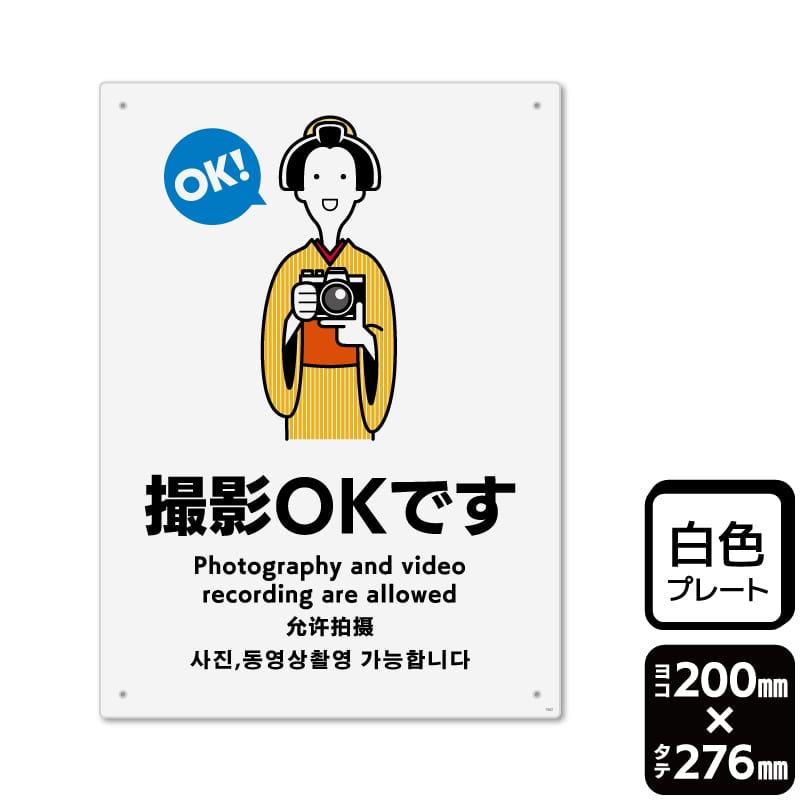 KALBAS プラスチックプレート　タテ大 撮影OKです KTK1342 1パック（ご注文単位1パック）【直送品】
