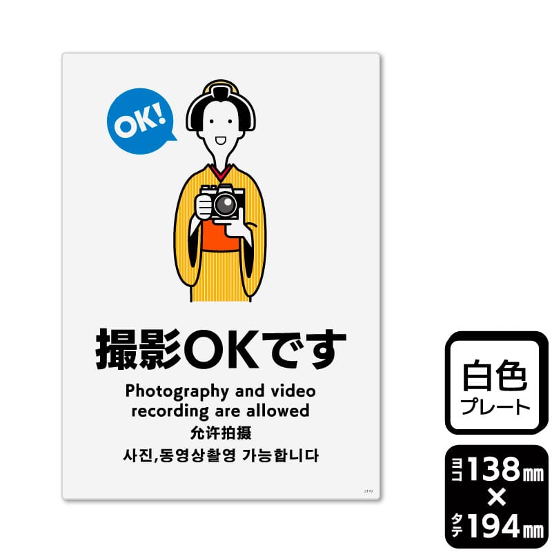 KALBAS プラスチックプレート　タテ中 撮影OKです KTK3170 1パック（ご注文単位1パック）【直送品】