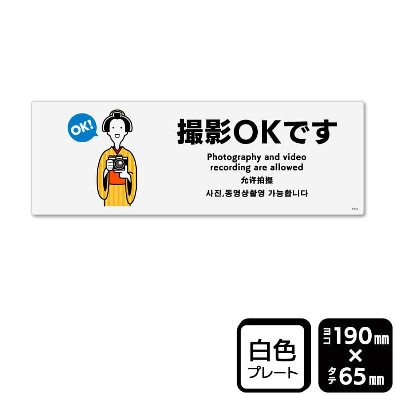 KALBAS プラスチックプレート　ヨコ小 撮影OKです KTK6153 1パック（ご注文単位1パック）【直送品】