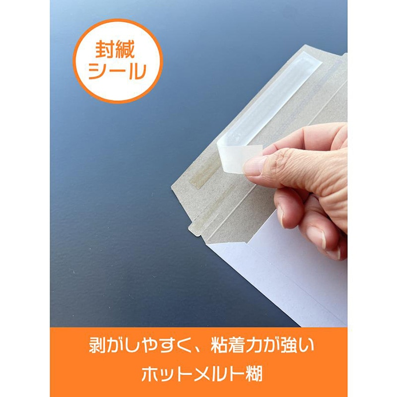 ユニファイン 厚紙封筒 エコノミータイプ A5／DVD AFC2W03 500枚/箱（ご注文単位1箱）【直送品】