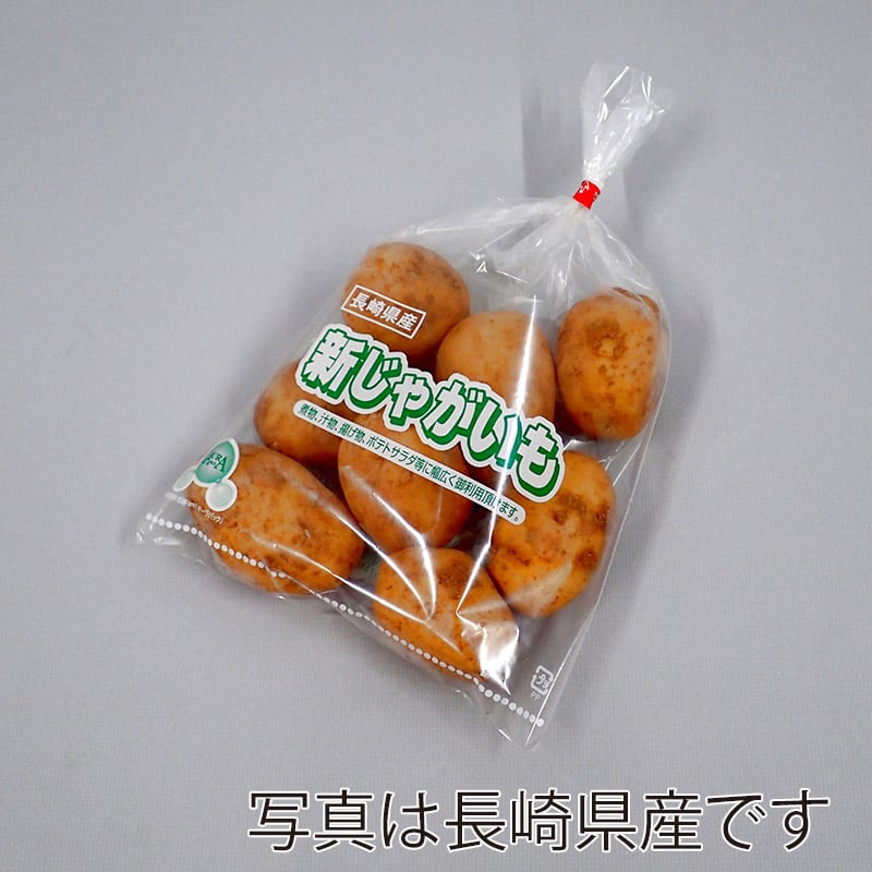 ベルグリーンワイズ 鮮度保持袋 オーラパック 規格品 新じゃがいも イラスト 鹿児島 3151 100枚/袋（ご注文単位50袋）【直送品】