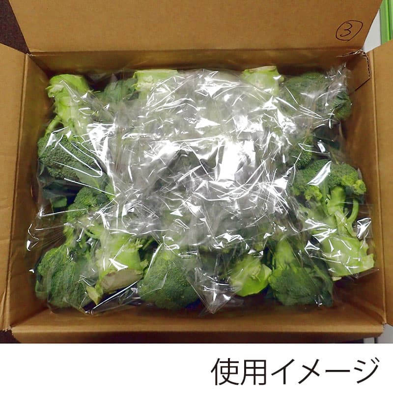 ベルグリーンワイズ 鮮度保持袋 オーラパック大袋 規格品 9085 51234 100枚/袋（ご注文単位5袋）【直送品】