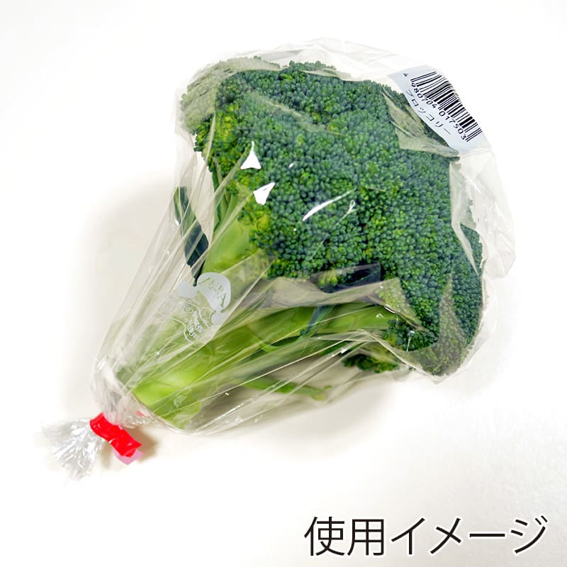 ベルグリーンワイズ 鮮度保持袋 オーラパック 規格品 ラクポス ブロッコリー袋 56006 100枚/袋（ご注文単位50袋）【直送品】