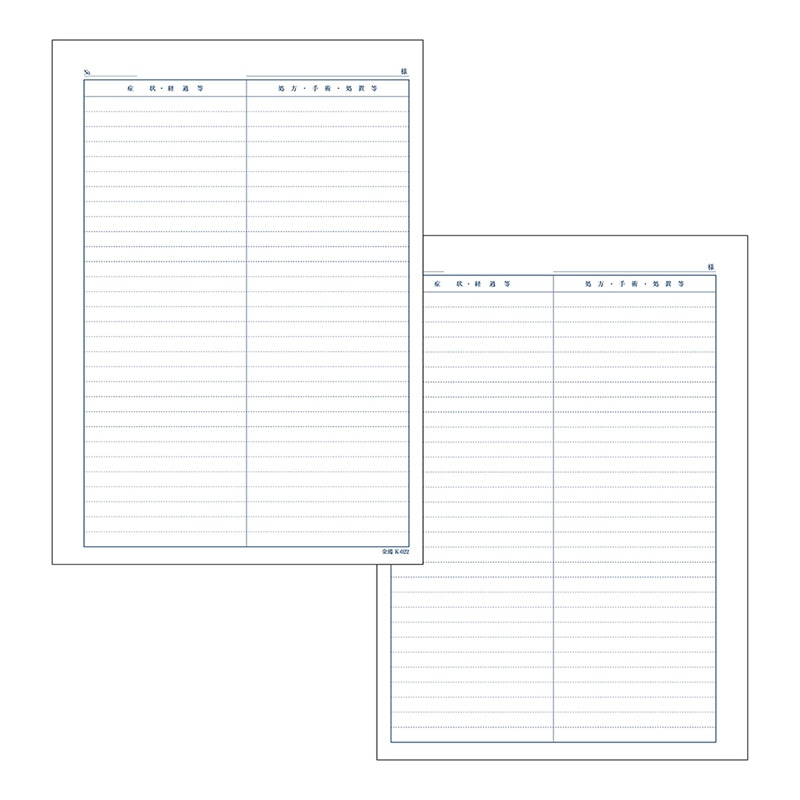 金鵄製作所 カルテ2号用紙 社保・国保兼用 会計なし 41011-304 1箱（ご注文単位1箱）【直送品】