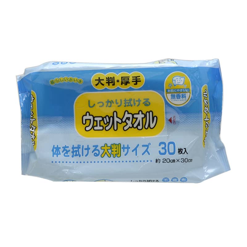 ストリックスデザイン しっかり拭けるウェットタオル 大判厚手 30枚入 KN-102 1袋（ご注文単位30袋）【直送品】