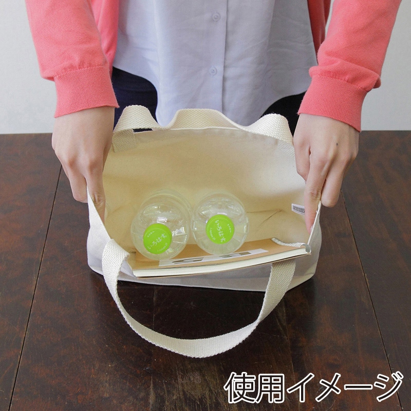 遠東商会 キャンバスエコランチバッグ 62-C 1枚(ご注文単位1枚)【直送品】