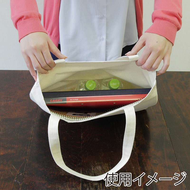 遠東商会 キャンパスバッグ10 110-10 1枚(ご注文単位100枚)【直送品】