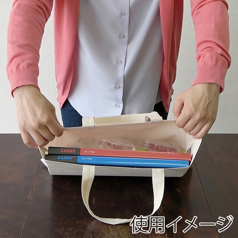 遠東商会 B4エコバッグ 横型 123-C 1枚(ご注文単位200枚)【直送品】