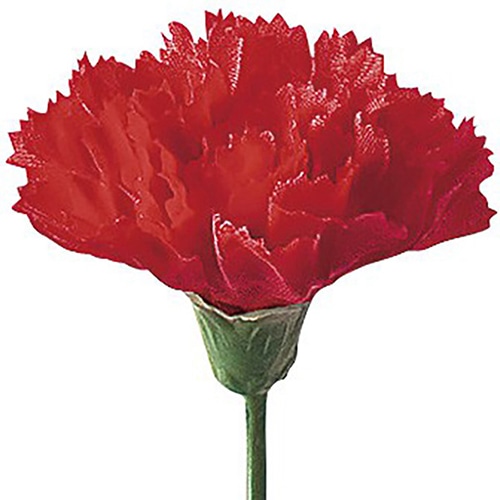 アルファ カーネーション 中 MA1-0021 1本（ご注文単位100本）【直送品】