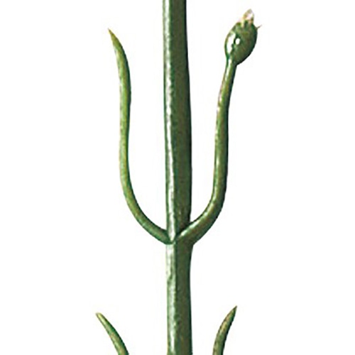 アルファ カーネーション 中 MA1-0021 1本（ご注文単位100本）【直送品】