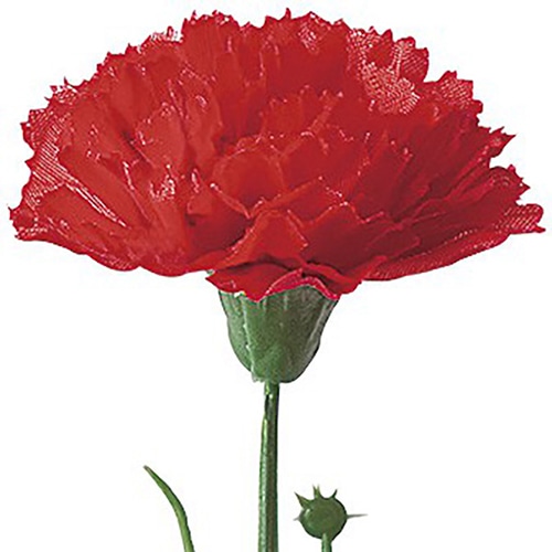 アルファ カーネーション 小 MA1-0022 1本（ご注文単位100本）【直送品】