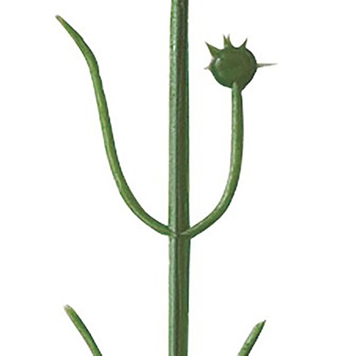 アルファ カーネーション 小 MA1-0022 1本（ご注文単位100本）【直送品】