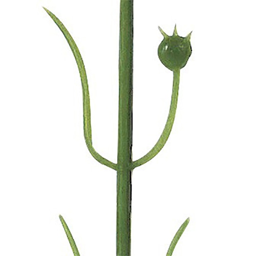 アルファ ピンクカーネーション 小 MA1-0025 1本(ご注文単位100本)【直送品】