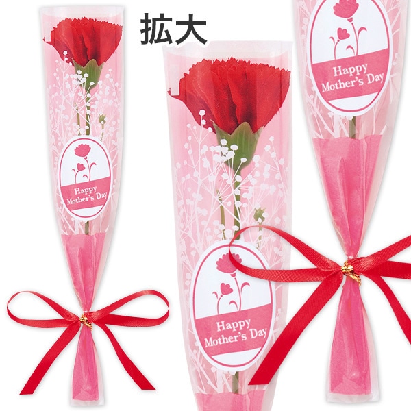 アルファ カーネーション かすみリボンラップ 小 MA1-0022R 1本（ご注文単位200本）【直送品】