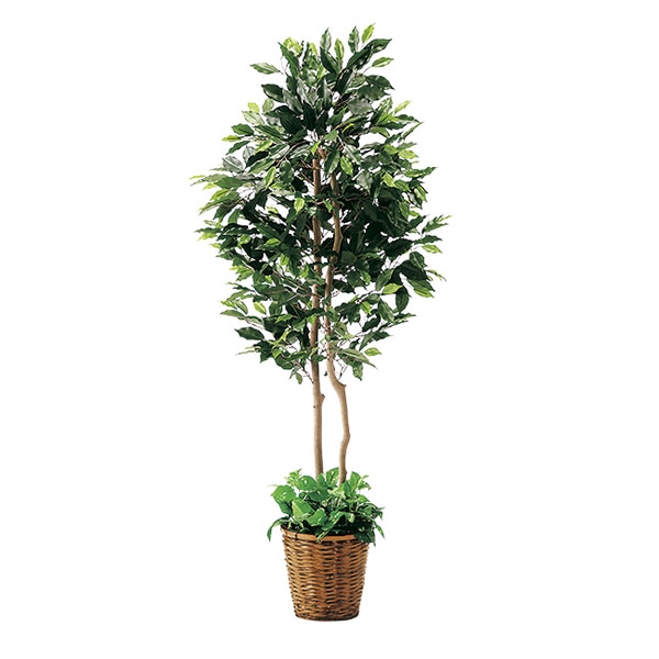 アルファ インテリアグリーン フィカスツイン TI8-0246 1個（ご注文単位1個）【直送品】