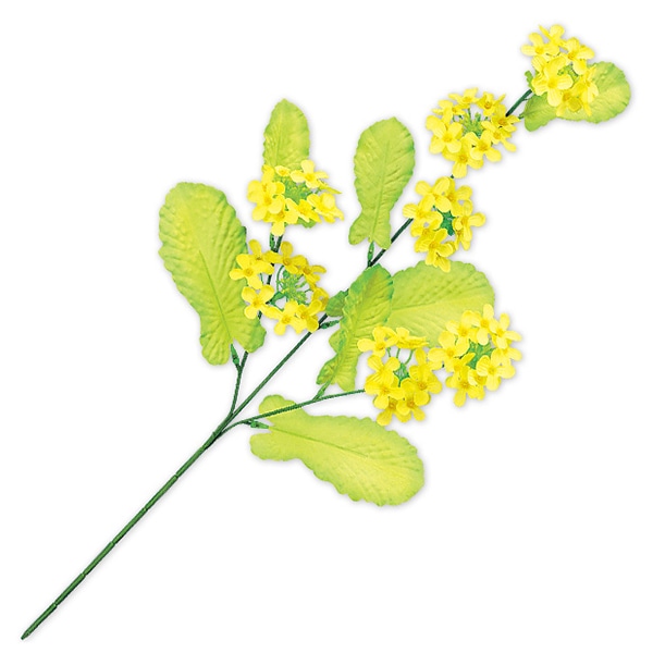 アルファ 菜の花スプレー 3本枝 TY1-0119 1本（ご注文単位5本）【直送品】