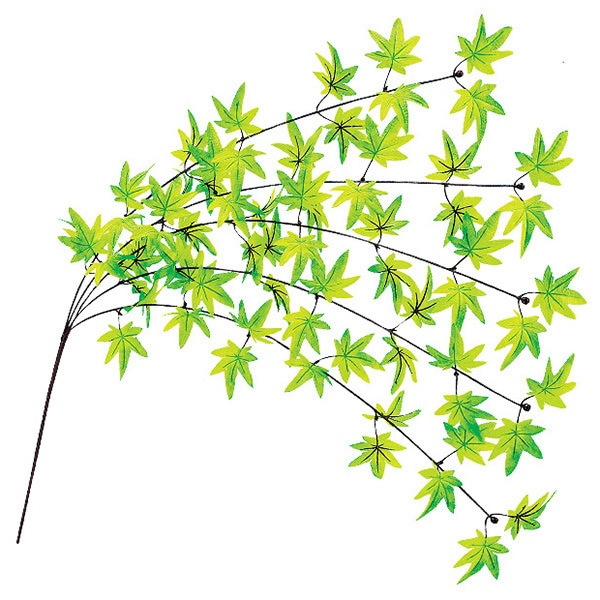 アルファ 楓エコシダレ TR2-2034 1本（ご注文単位2本）【直送品】