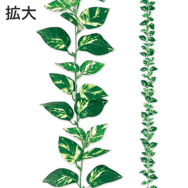 アルファ ポトスガーランド TR8-2004 1個（ご注文単位1個）【直送品】