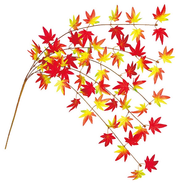 アルファ もみじエコシダレ TR4-2023 1本(ご注文単位2本)【直送品】