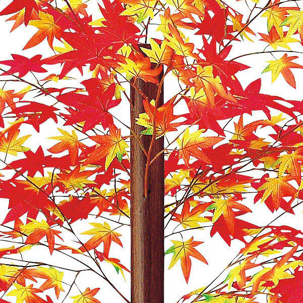 アルファ もみじ立木 高さ180cm TT4-4010 1個(ご注文単位1個)【直送品】