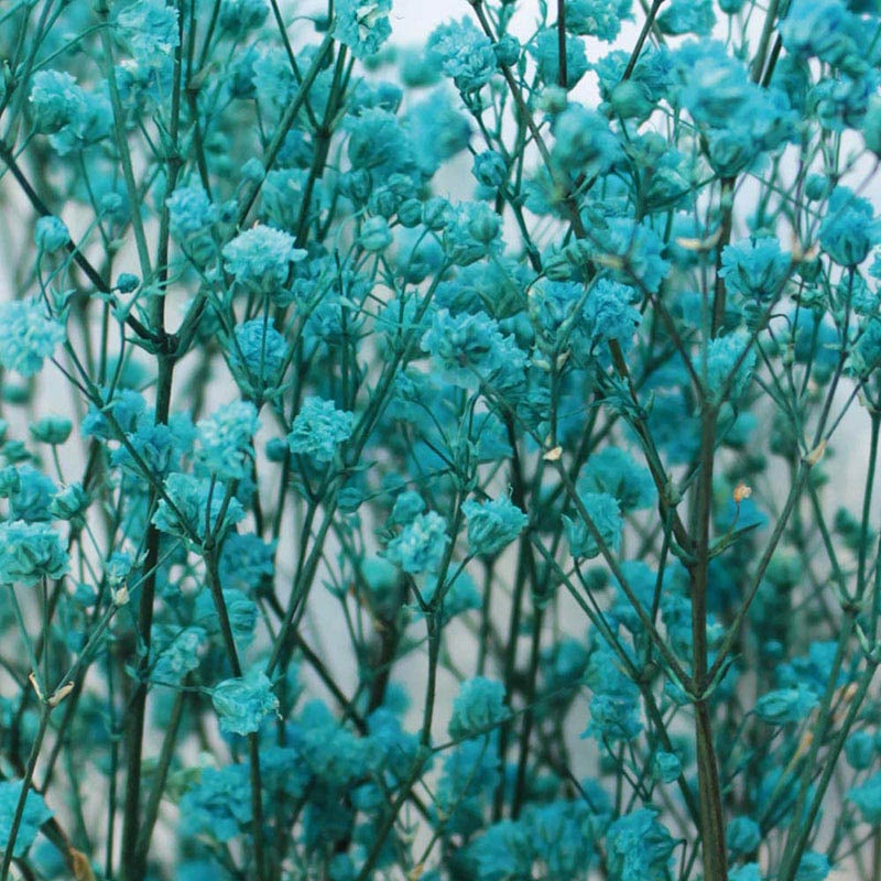 セルリアンブルー